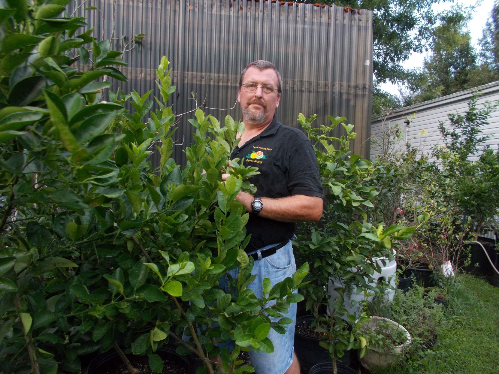 501701 Darren Sherrif.jpg